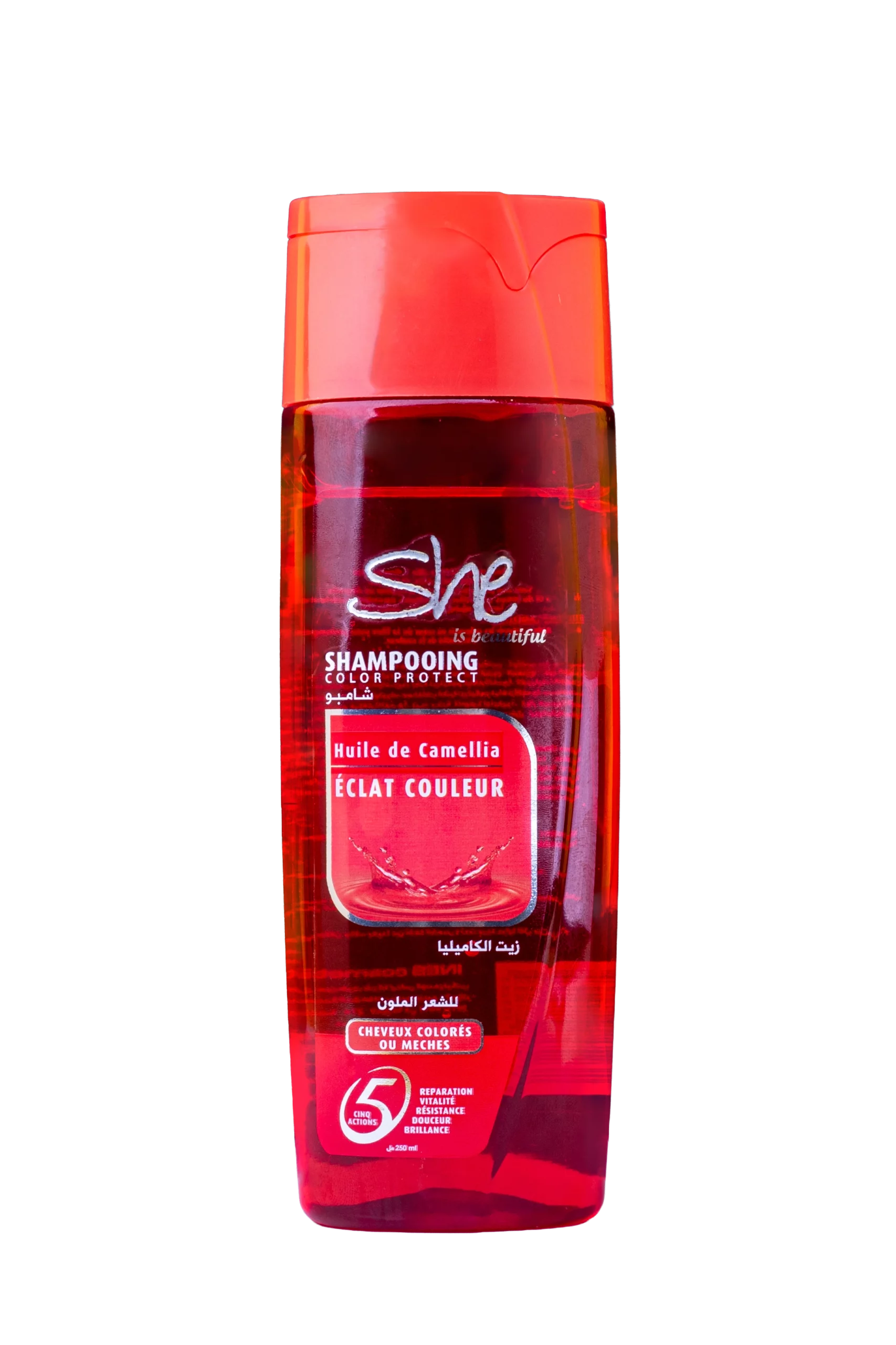 Shampooing Huile de camellia